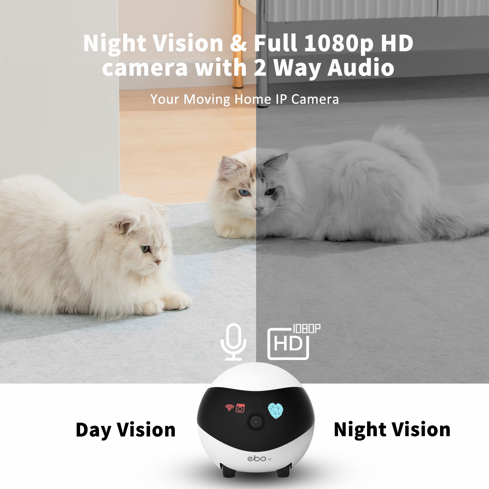 หุ่นยนต์อัจฉริยะ EBO SE สำหรับ - Home Security Robot บทวิจารณ์และราคา
