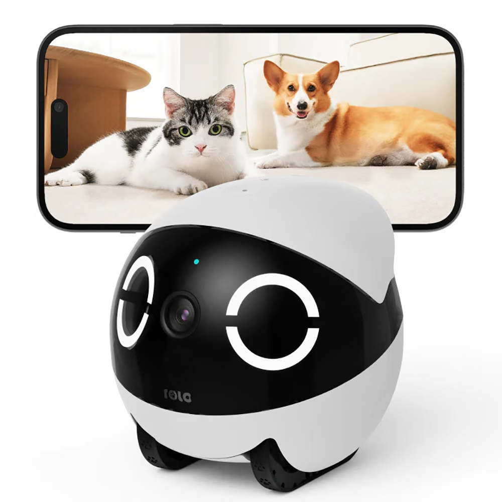 หุ่นยนต์สัตว์เลี้ยงขนาดเล็ก ดี - Home Security Robot บทวิจารณ์และราคา